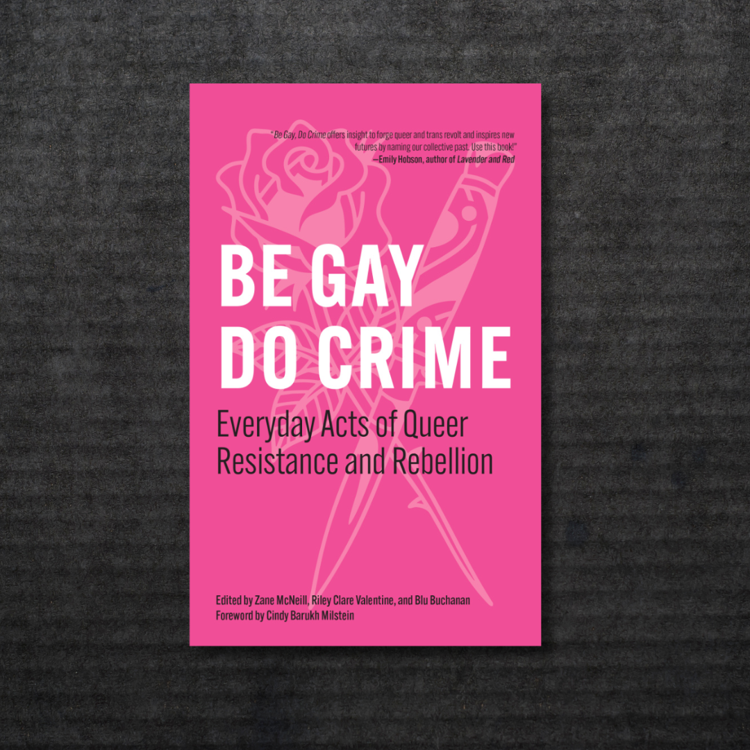 BE GAY, DO CRIME: Everyday Acts of Queer Resistance and Rebellion Book