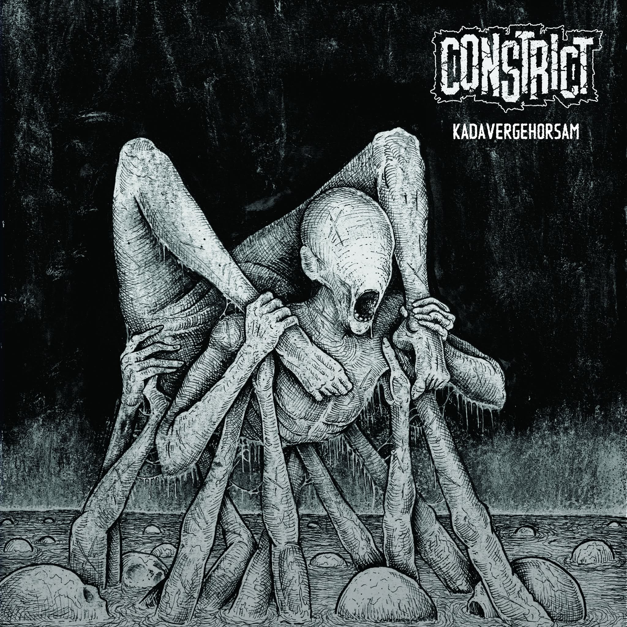 CONSTRICT: Kadavergehorsam 12" Vinyl