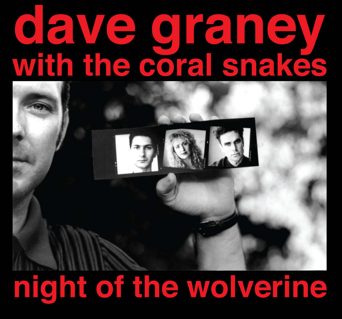 DAVE GRANEY WITH THE CORAL SNAKES: Night Of The Wolverine Vinyl 2LP in Australia Global Disrupt