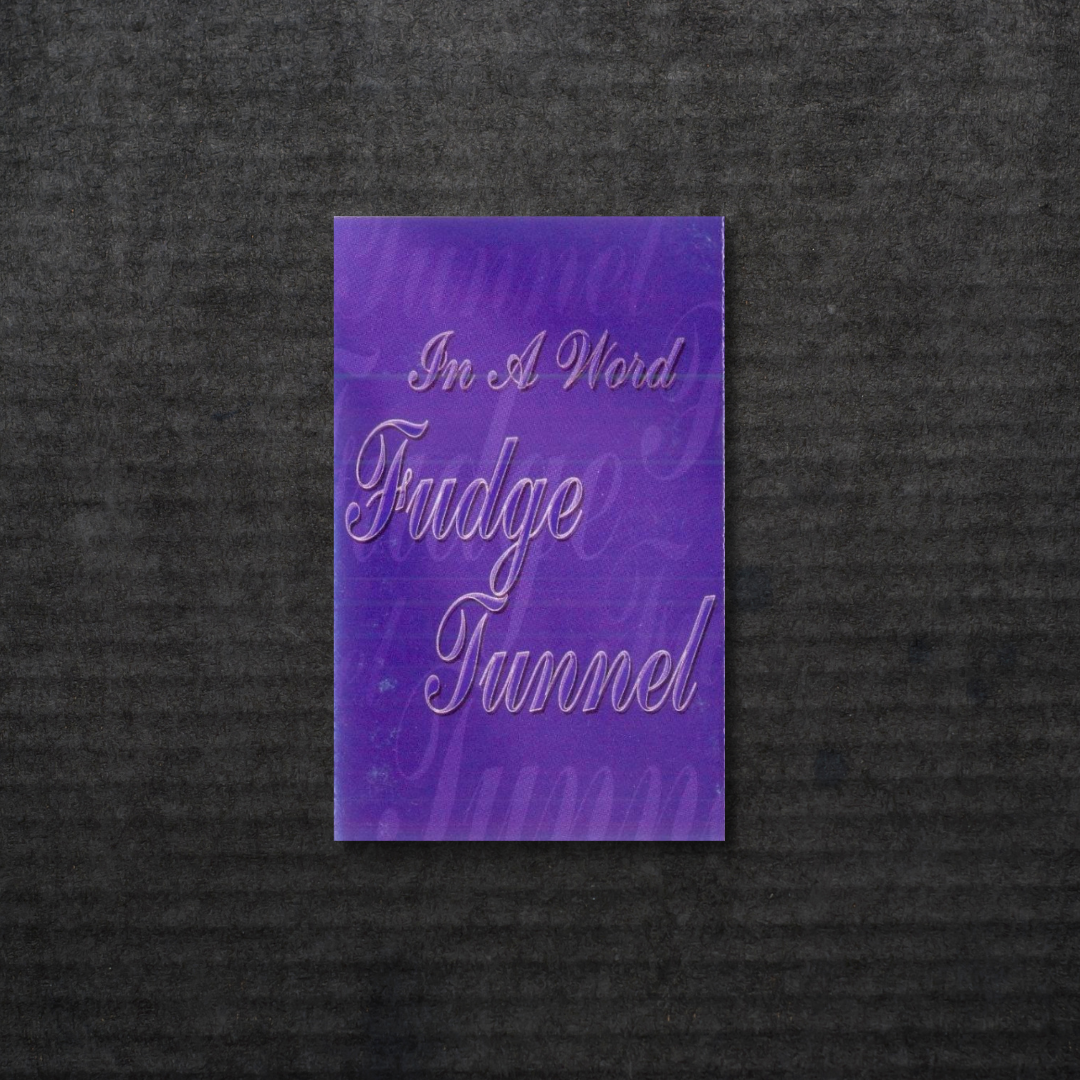 FUDGE TUNNEL: In A Word Cassette
