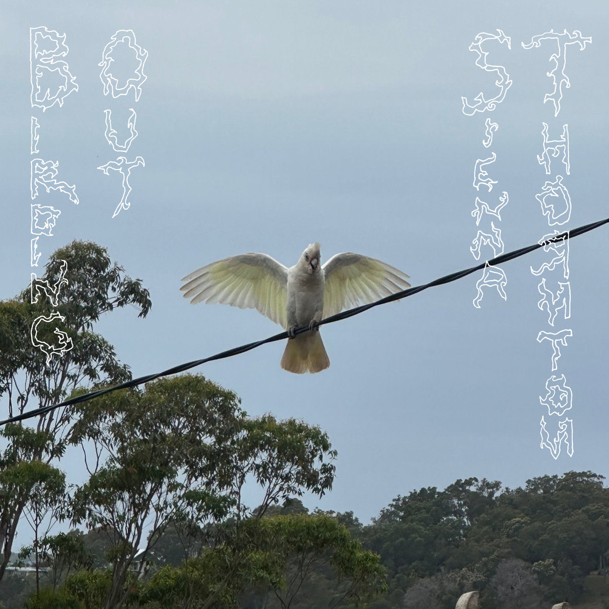 SIENNA THORNTON: Birding Out Vinyl LP in Australia Global Disrupt